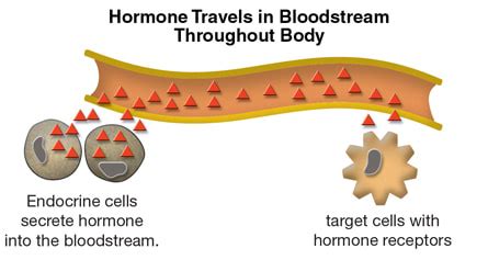 D5: Hormones and Metabolism (HL) - AMAZING WORLD OF SCIENCE WITH MR. GREEN