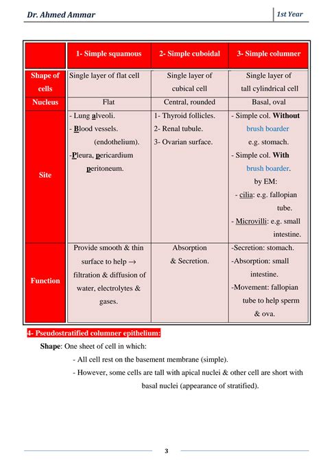 Solution Epithelium Histology Studypool