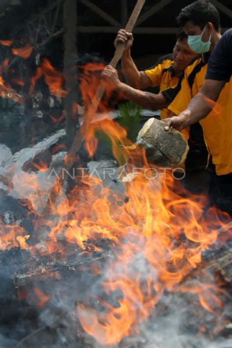 Pemusnahan Barang Bukti Narkotika Antara Foto