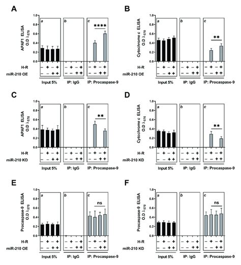 Mir 210 Exacerbated The Hypoxia Reoxygenation H R Induced Apoptosome