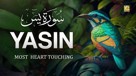 Surah Yasin Yaseen Full With Arabic Beautiful Recitation یس سورہ 36 0039