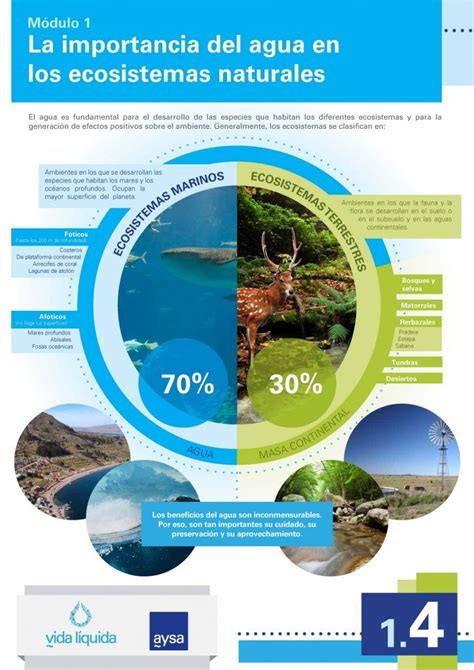 La Importancia Del Agua Mx