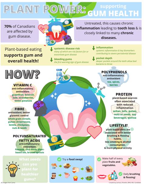 Plant Power For Supporting Gum Health An Infographic