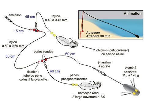 10 montages surfcasting pour l été