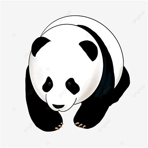 Paint Panda Clipart PNG Images Hand Painted Cute Style Panda Panda