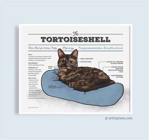 Tortoiseshell Cat Art, Tortie Cat Poster, Cat Breed Artwork, Funny Gift ...