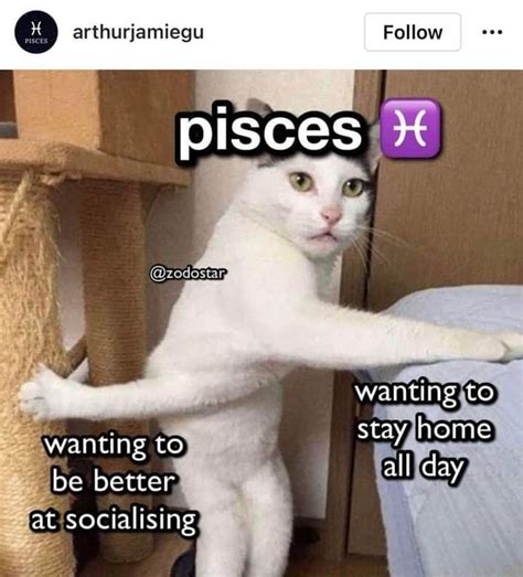 Pin By Vublack Pearl On 312 Pisces Zodiac Memes Zodiac Signs Pisces