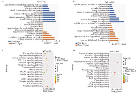 Go Annotation And Kegg Pathway Analysis Of Differentially Expressed