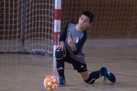 FCF Arrenquen Les Seleccions Catalanes Base De Futbol Sala