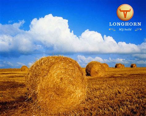 Windows Longhorn Wallpapers - Top Free Windows Longhorn Backgrounds ...