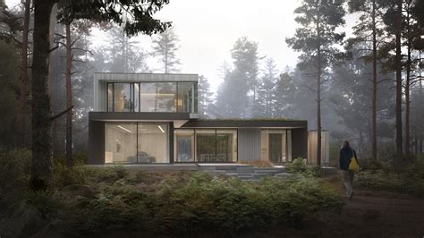 Modern House in the Woods — Daymark Design