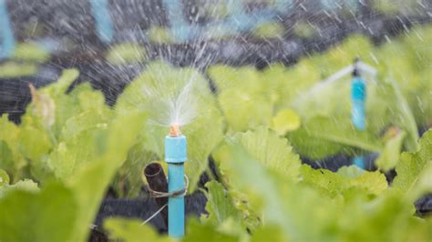 Uso Eficiente Del Agua En El Sector Agrario Formaci N Estatal