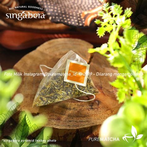 Jual Teh Daun Singabera Seroeni Paradise 1tb Sample Chrysanthemum