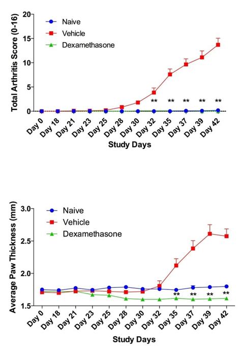 Preclinical CRO for Collagen-induced Arthritis Research