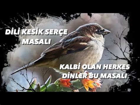 BÜYÜKLERE MASALLAR UYKU MASALI UYKU GETİREN MASAL SESLİ MASAL