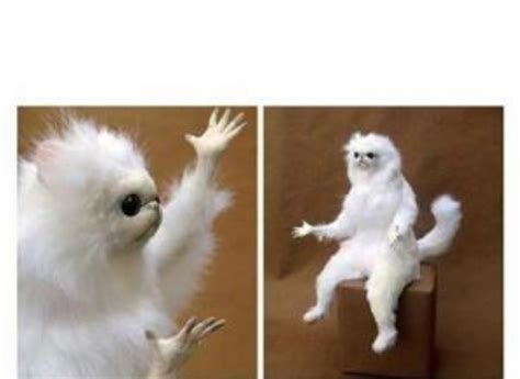 confused monkey meme generator