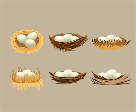 Nest Illustration Vector Vector Art & Graphics | freevector.com