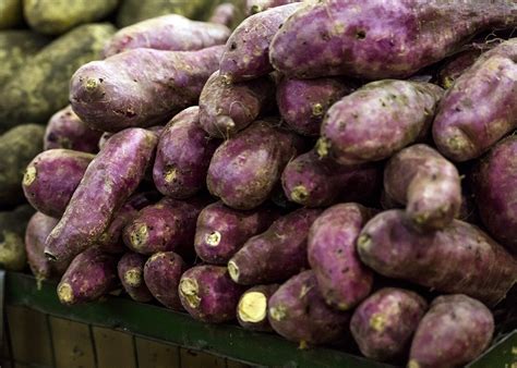 Comienza El Ciclo De Batata Mercado Central