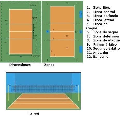 Diagrama De La Cancha De Voleibol