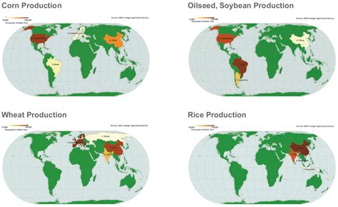 Crop Based Supply Chains Crop Importance And Trends Demand Drivers