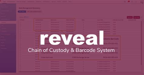 What Is Chain Of Custody