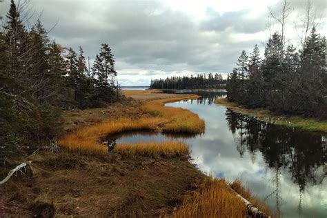 The Island Walk | Island Trails