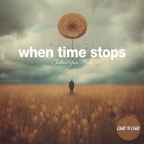 Rutor Info Va When Time Stops Chillout Your Mind Flac