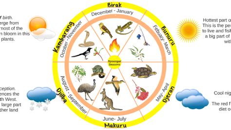 Noongar Seasonal Calendar By Maddy Taylor On Prezi