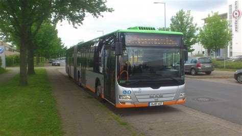 Германия MAN A23 Lion s City G NG323 8407 Фото Автобусный транспорт