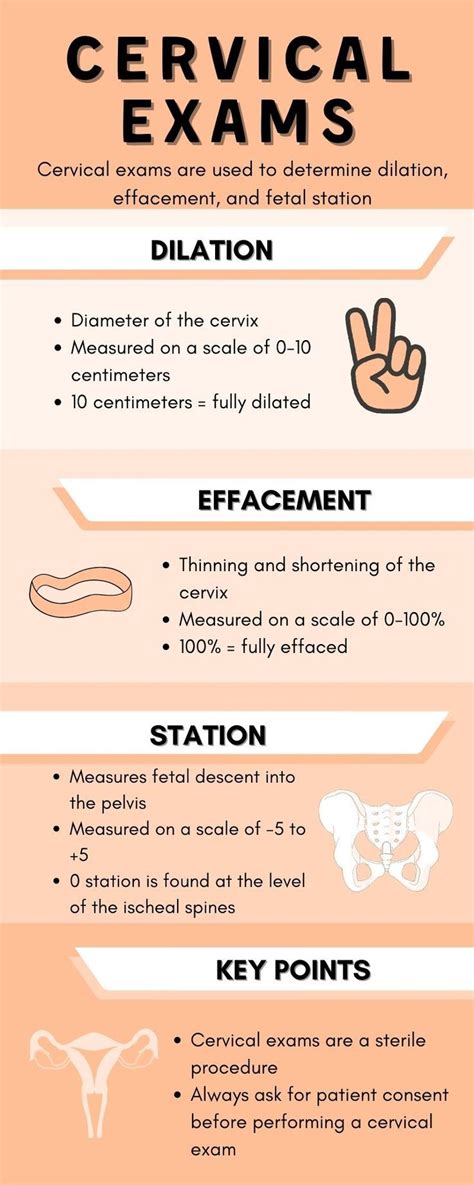 Cervical Exams Are Used To Check Dilation Effacement And Fetal