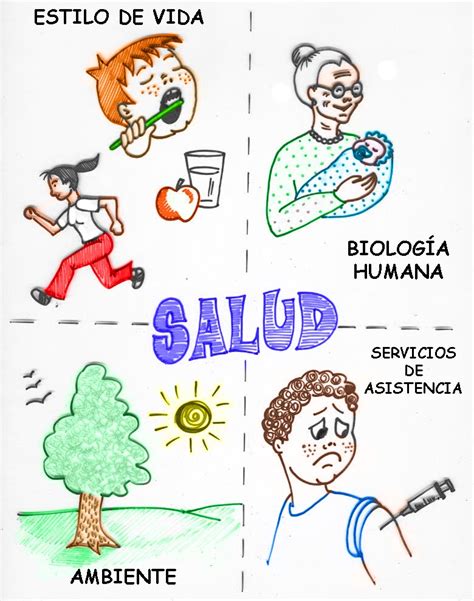 Salud Y Sociedad Determinantes De La Salud