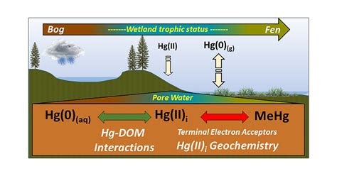 Geochemical Factors Controlling Dissolved Elemental Mercury And