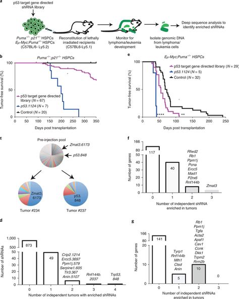 In Vivo Shrna Library Screening To Identify Critical Effectors Of