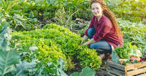 Late Summer Gardening CoirProducts