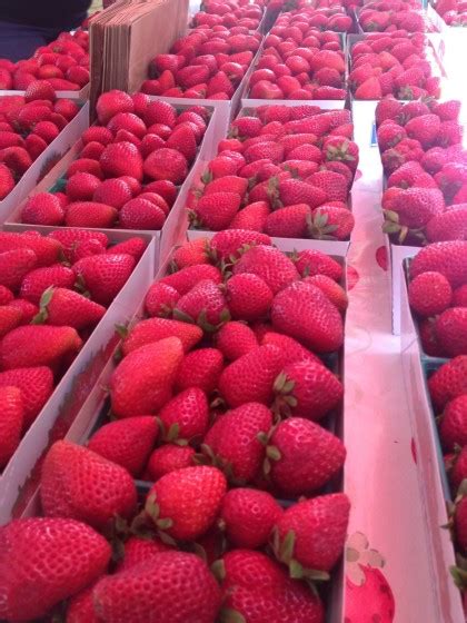 Kenwood Community Farmers Market On Sundays Sonoma Sun Sonoma Ca