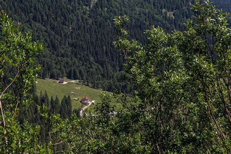 Edifícios típicos das pastagens alpinas italianas Foto Premium