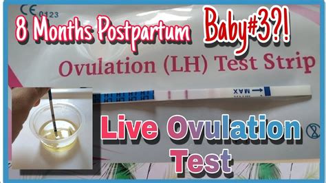 LIVE OVULATION TEST Ready Na Ba Sa Baby 3 YouTube