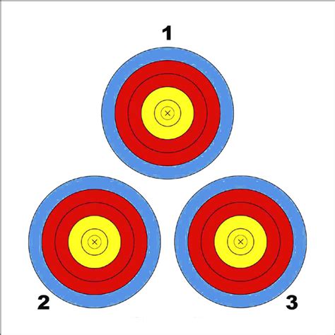 Vegas Target Face Reinforced X 50 Custom Built Archery