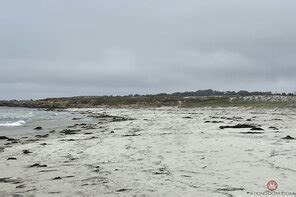 Leana Lovings Lea049atk 397996155 Porn Pic