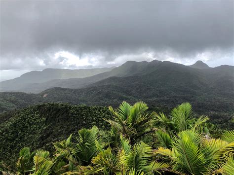 El Yunque Rain Forest [OC] [4032 x 3024] : r/EarthPorn