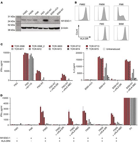 Ababdr Derived Tcrs Recognized Ny Eso More Efficiently Than