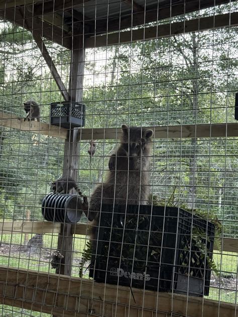 Erie humane society adoption rates are impacting local shelters 18