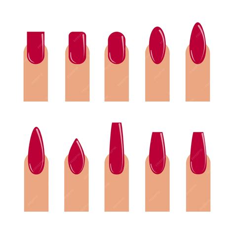 Premium Vector | Set of different types of fingernail shapes isolated ...