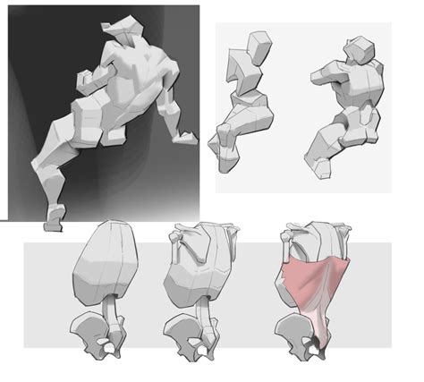 ArtStation George Bridgman伯里曼 体块练习 tenten云画画 Dessin anatomie