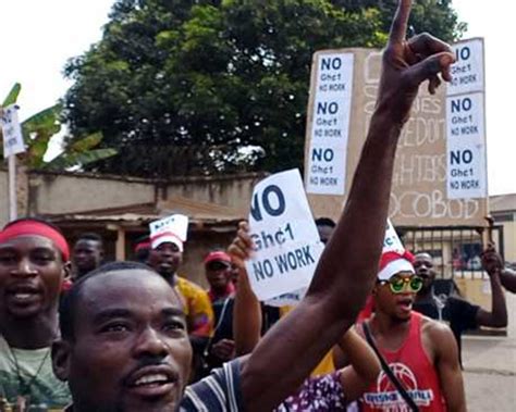 Tonnes Of Cocoa Beans Left To Rot As Carriers Strike