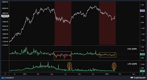 O Fundo Do Bitcoin Est Dentro Aqui Est O Que Os Dados Sopr Dizem