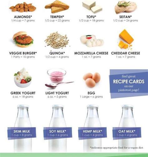 15 Vegetarian Diet Foods [infographic] Best Infographics