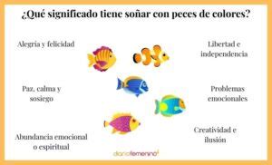 Qu Significa So Ar Con Peces Peque Os De Colores Incluye V Deo