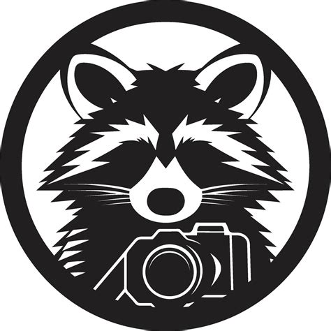 Whimsical Black Masked Bandit Insignia Xenial Raccoon Symbolic Mark 33289206 Vector Art At Vecteezy