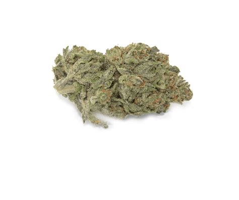 Purple Haze (Hybrid) - Pound Cannabis | Visit Dispensary